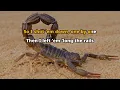 Robert Earl Keen - Whenever Kindness Fails - Karaoke