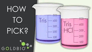 Tris Base or Tris HCl