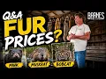 2026 Fur Prices Q A What s Happening in the Fur Market