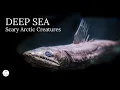 Download Lagu Top 10 Scariest Arctic Deep Sea Creatures