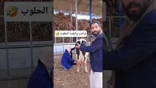 مصطفى المومري يدافع عن محمد بن سلمان 
