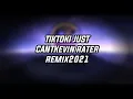 TIKTOK I JUST CANT Kevin rater remix 2021