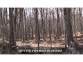 How Carrying Capacity Affects Your Deer Hunting