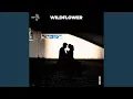 Download Lagu wildflower (slowed + reverb)