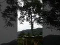 Download Lagu sebuah renungan.....bahwa hidup adalah perjuangan.......tdk ada perjuangan tanpa pengorbanan.....