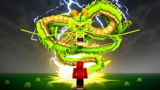 O PEDIDO DO SHENLONG  - Dragon Mine Z