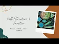 Chapter 7 Cell Structure Function includes transport