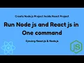 How to Run Node js Project Inside React Project with One Command React Js Node JS