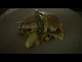 3030 Ocean restaurant Ft Lauderdale