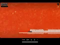 百足/第二章(freestyle)