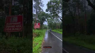 August 8 2025  August 8 2025