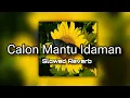 Calon Mantu Idaman (feat. Ncum) - Rombongan Bodonk Koplo || (Slowed+ Reverb)
