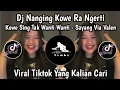 Lagu DJ NANGING KOWE ORA NGERTI KOWE SING TAK WANTI WANTI - DJ SAYANG VIA VALLEN VIRAL TIKTOK !!!