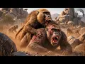 Download Lagu Babuinos y Chimpancés | La Batalla Feroz por el Trono de la Selva #animalessalvajes MP3