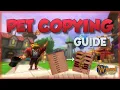 Wizard101 Pet Copying Guide