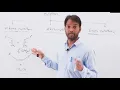 M Sc-III Sem Organic Chemistry Unit-I Alkene Metathesis-1 Ring closing metathesis