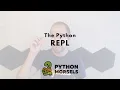 Using the Python REPL