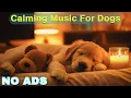 12 HOURS of Dog Calming Music For Dogs Anti Separation Anxiety Relief Music Sleep dog Healing