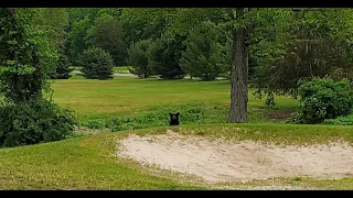 Bear at James Baird