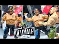 Lagu WWE ULTIMATE EDITION UMAGA FIGURE REVIEW!