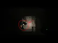 Shadow Bonnie in Eternal Nights Is he rare