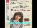 ENDANG S TAURINA -- BUTIR CINTA YANG HILANG