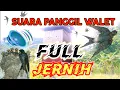 Download Lagu SUARA PANGGIL WALET FULL JERNIH