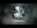 untitled (halo) - aimee lou wood freestyle