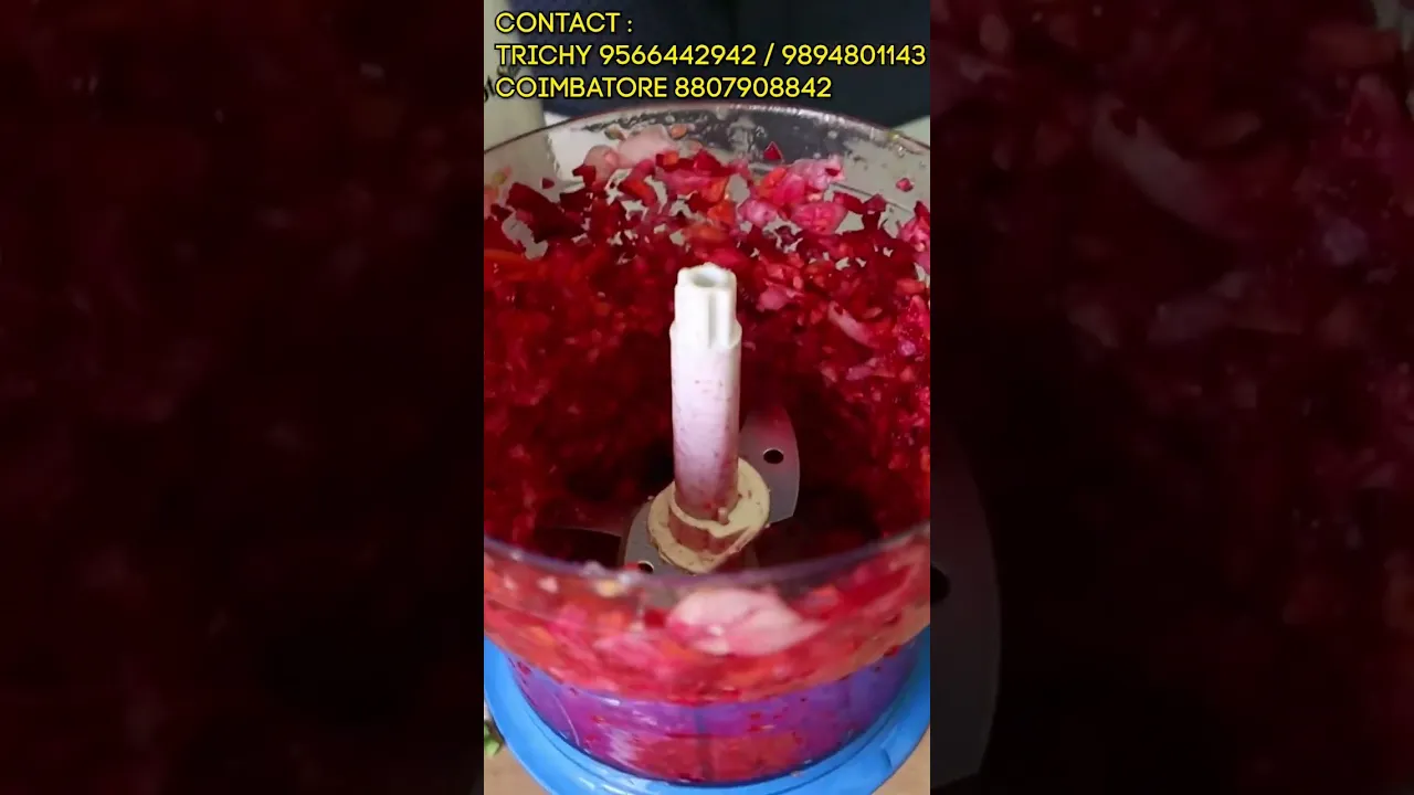 1 min Vegetable Chopper - Smart Associates Trichy, Coimbatore Onion Chopper