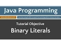 Learn Java Programming - Binary Literals