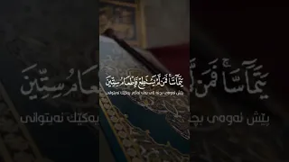تلاوة هادئة تريح الأعصاب القارئ اسلام صبحى سورة المجادله  تلاوة هادئة تريح الأعصاب القارئ اسلام صبحى سورة المجادله