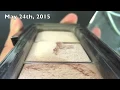 Pan that Palette Update #5- PHOTOS!