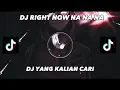 DJ RIGHT NOW NA NA NA VIRAL TIKTOK!!