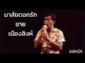 มาลัยดอกรัก-ชาย เมืองสิงห์
