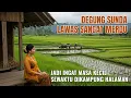 Download Lagu DEGUNG SUNDA LAWAS SANGAT MERDU! DIIRINGI ALUNAN SERULING SYAHDU BIKIN KANGEN KAMPUNG HALAMAN