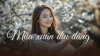Mùa xuân dịu dàng