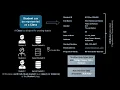 Data Structures in Python Part I Primitive Non-Primitive Structures