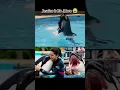 Download Lagu Jessica dolphin incident jessica radcliffe orca attack...#jessica #dolphins #incident #explorepa.