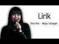 Download Lagu Lirik Dian Anic - Wayu Colongan