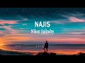 Download Lagu Niken Salindry - Najis (Lirik Lagu)