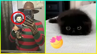 LOS ANIMALES MÁS GRACIOSOS Y LINDOS DEL 2026 😂🐾