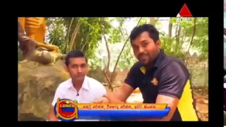 smokiyo lunch time program 