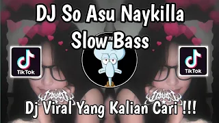 dj so asu naykilla slow viral tiktok full song viral tik tok terbaru 2025 yang kalian cari 