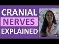Download Lagu Cranial Nerves Anatomy | Cranial Nerves Mnemonic Made Easy