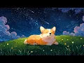 Download Lagu Dreamy Summer Stars 🌠 Dreamy Lofi Songs With Relaxing Corgi To Recharge \u0026 Relax Deeply 🌠 Lofi Corgi