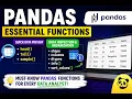 Master Pandas DataFrame Basics in One head tail shape more