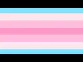 Transfeminine TikTok Compilation