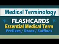 Medical Terminology Essential Medical Term Prefixes Roots Suffixes NCLEX