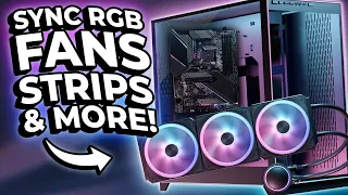 Setting Up RGB Fans Strips And More SignalRGB Components 2024