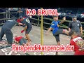 Download Lagu ngeri K.O BRUTAL‼️para pendekar pencak dor | BLITAR 2025